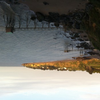 Maxette - Hamont-Achel - Limbourg | Plan Q