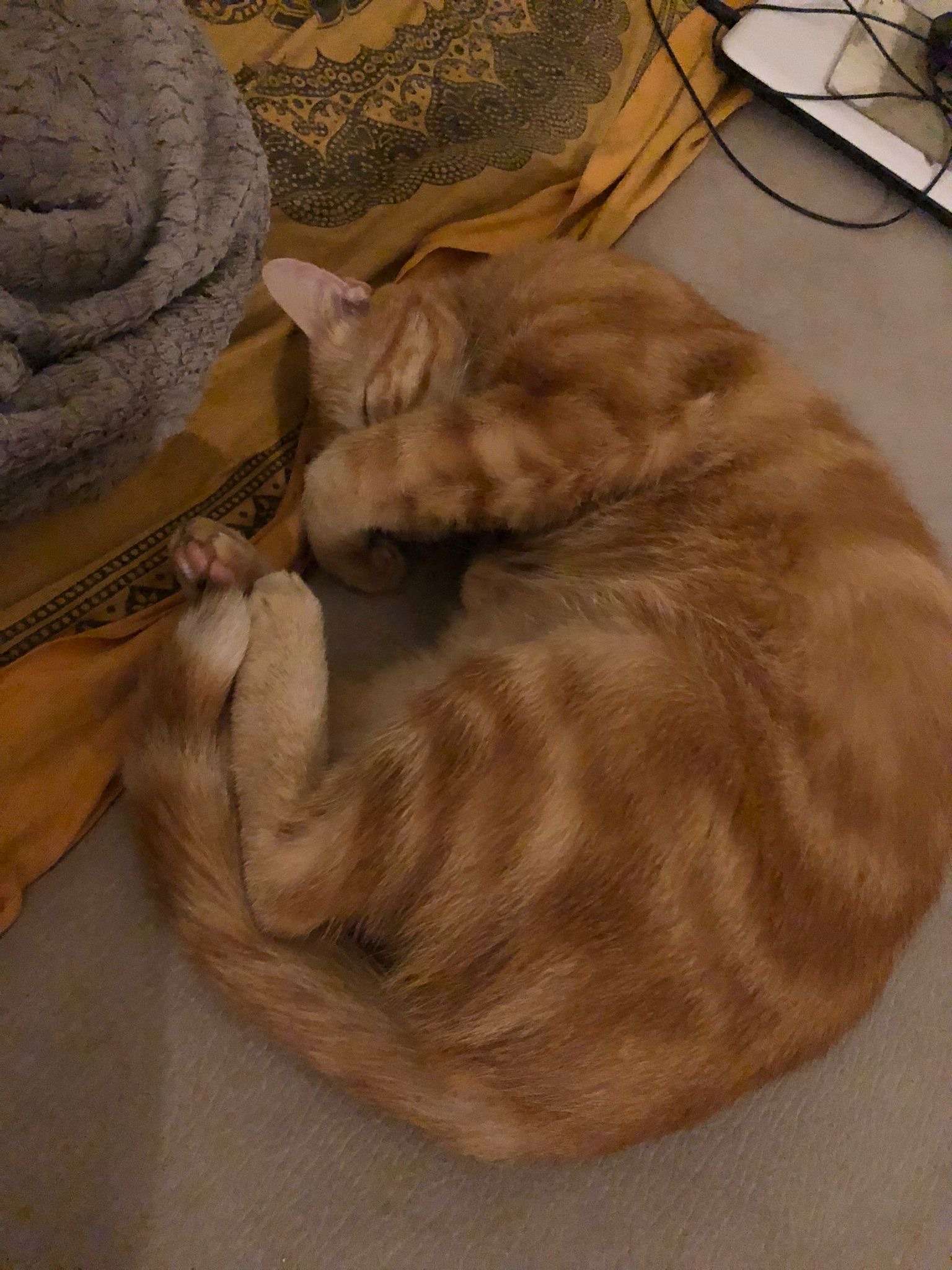 Ferréol - Kampenhout - Brabant flamand | Plan Q