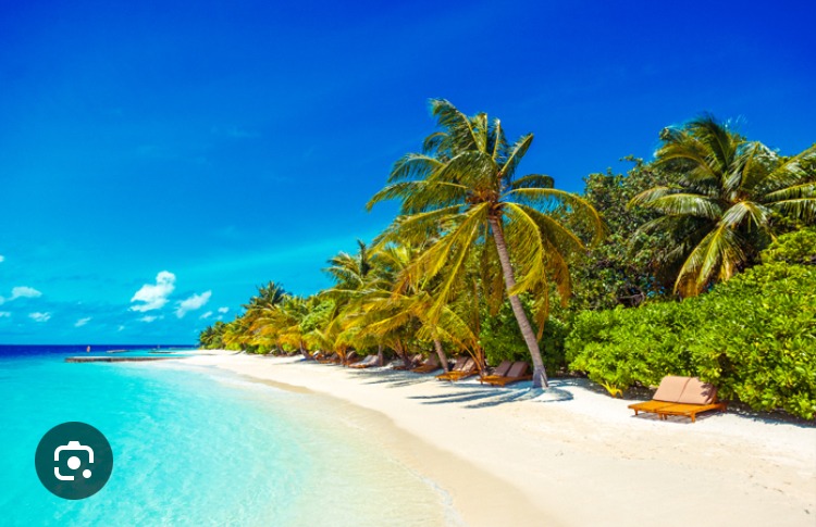 Serge - Essen - Anvers | Plan Q