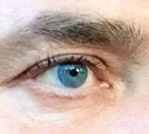 Talha - Erpe-Mere - Flandre orientale | Plan Q