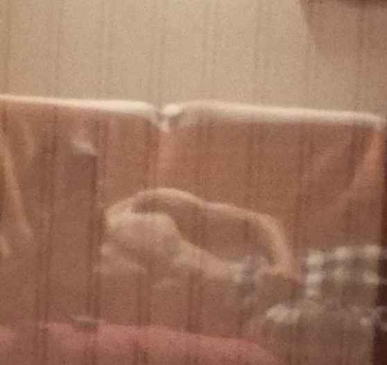 Tahiry - Mettet - Namur | Plan Q