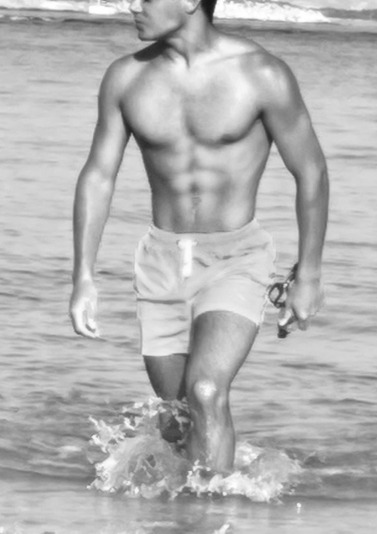 Aroun - Ellezelles - Hainaut | Plan Q