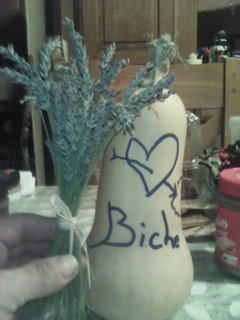 Ashwin - Mol - Anvers | Plan Q