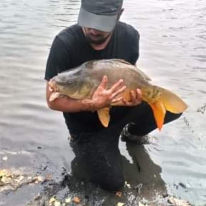 Kalil - Essen - Anvers | Plan Q