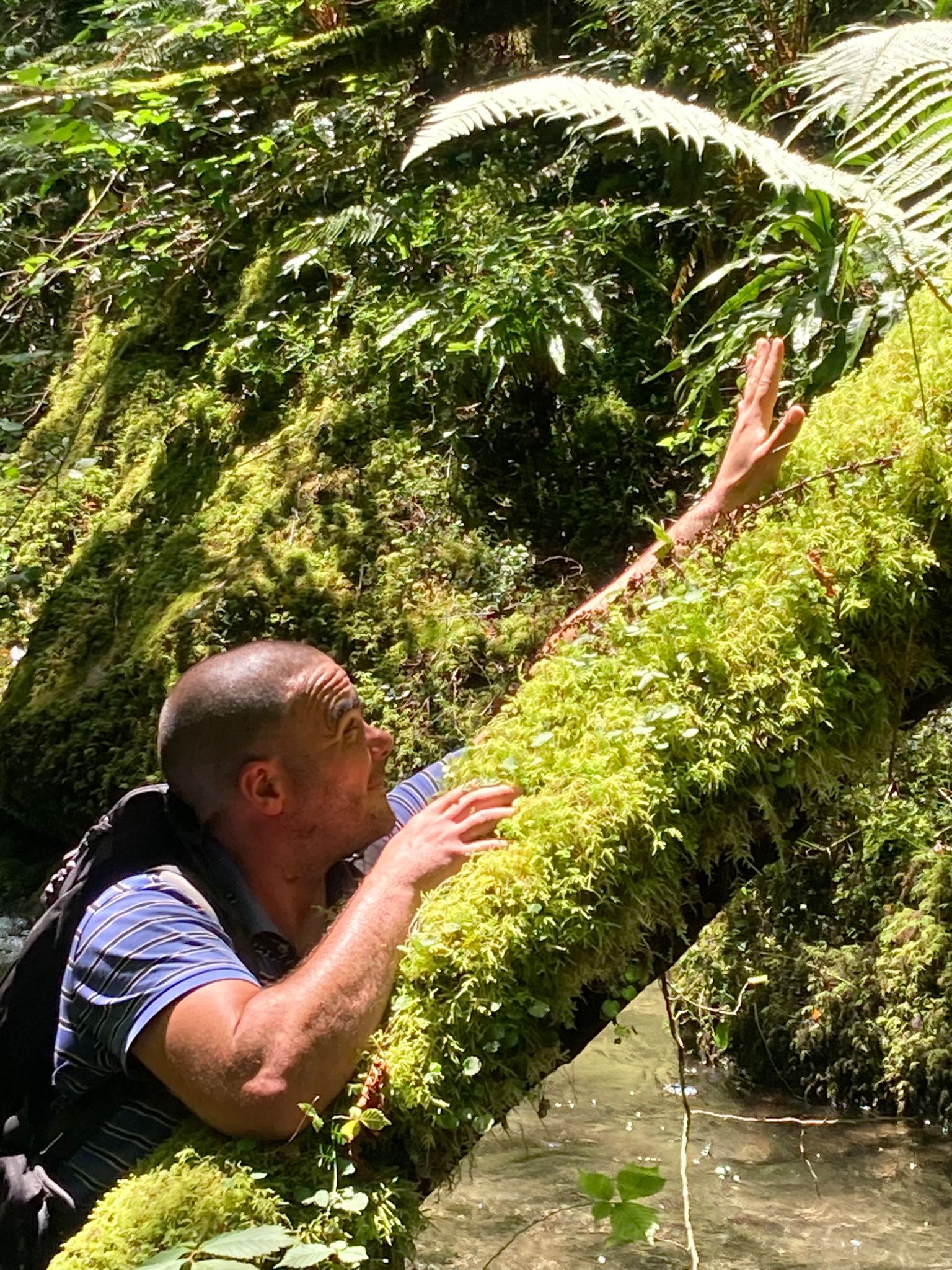 Laury - Tessenderlo-Ham - Limbourg | Plan Q