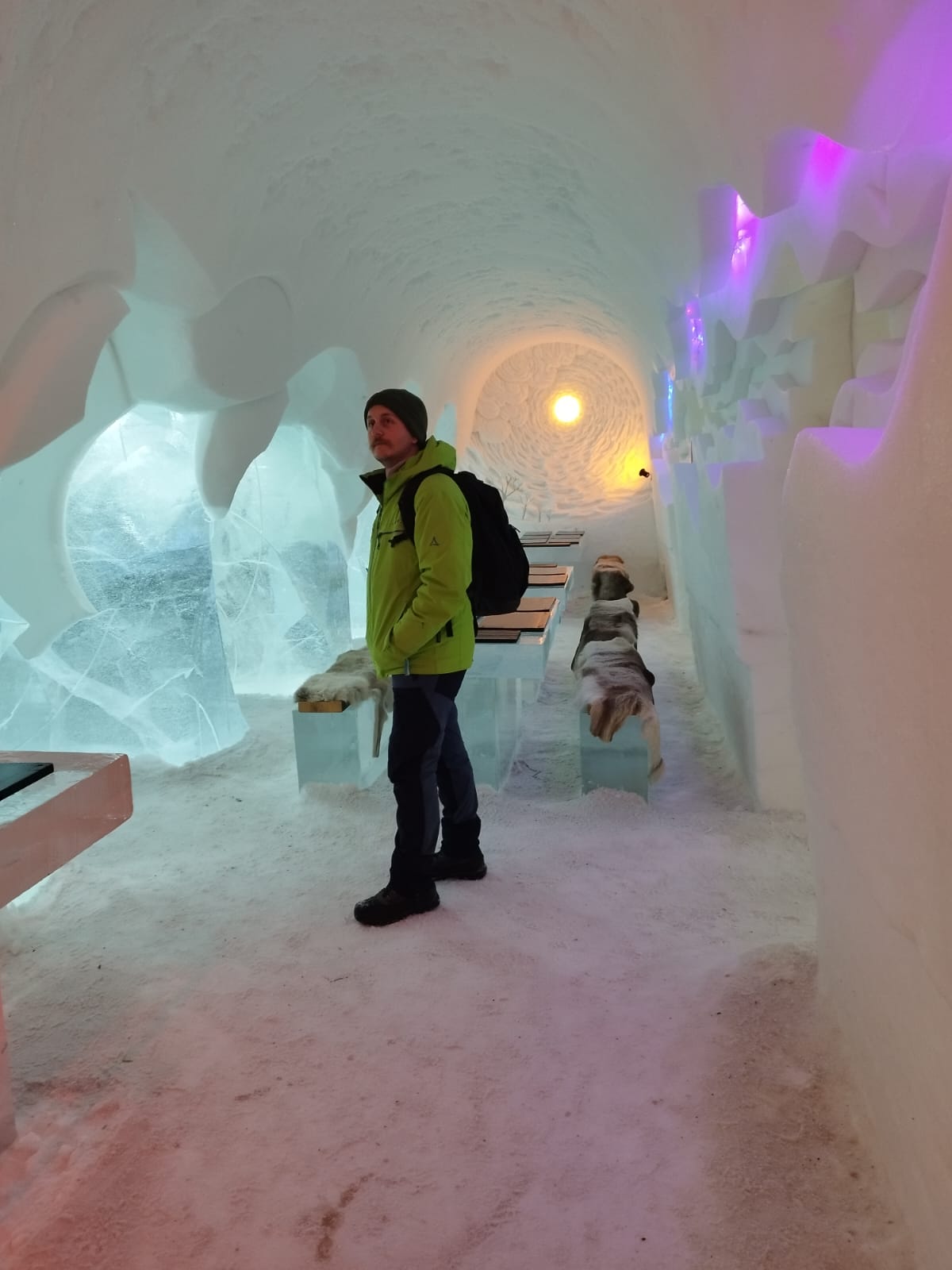 Telio - Niel - Anvers | Plan Q