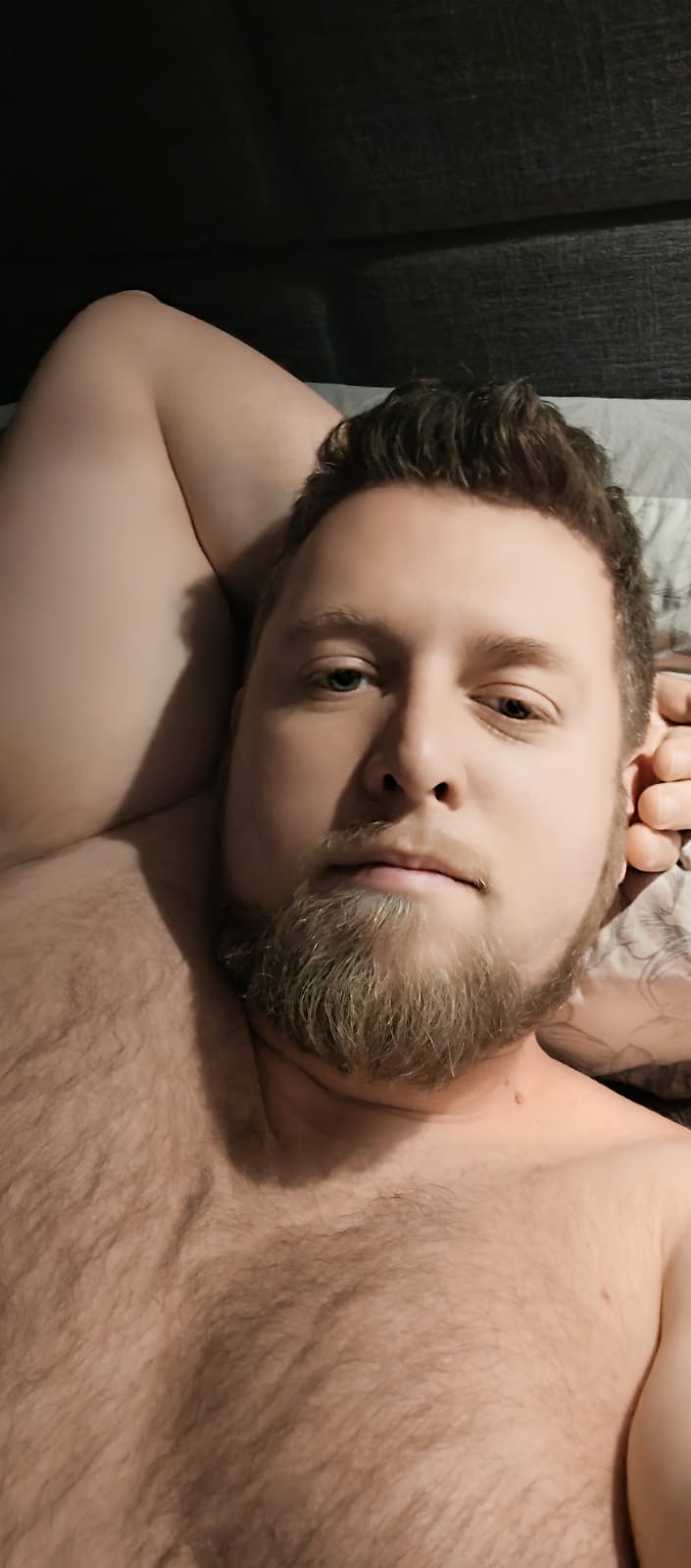 Elamine - Oupeye - Liège | Plan Q