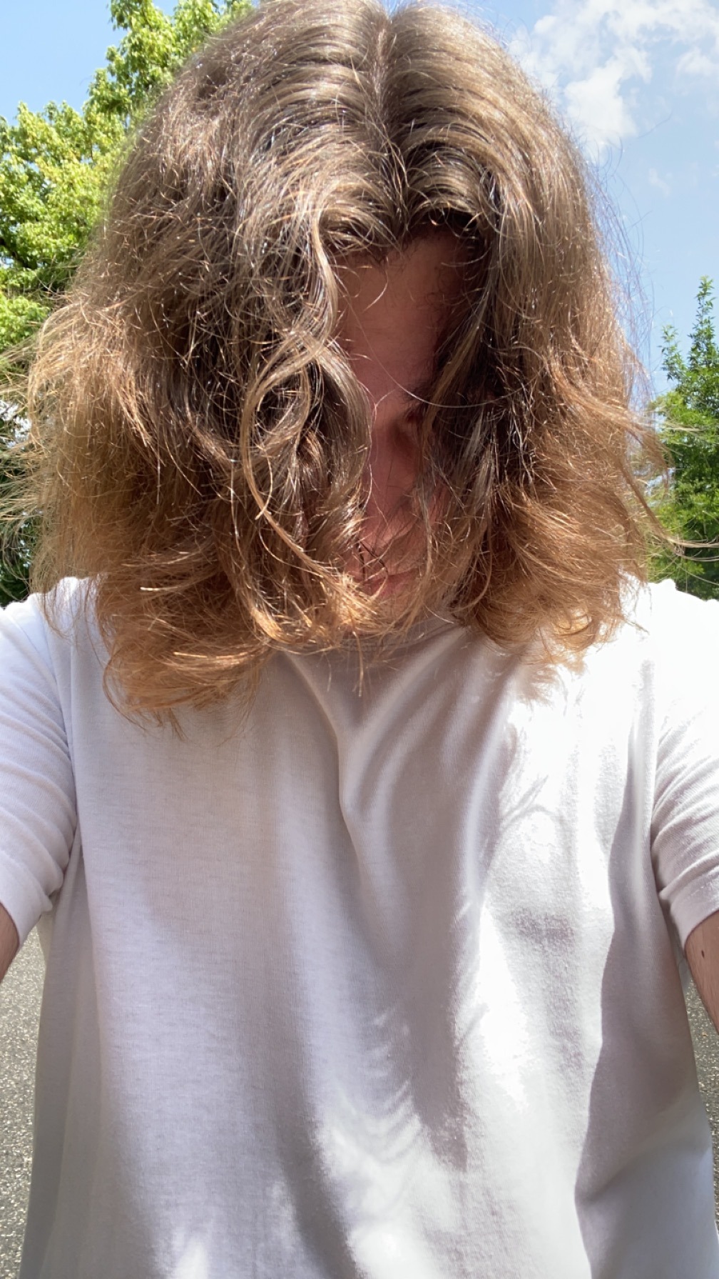 Aramis - Staden - Flandre occidentale | Plan Q