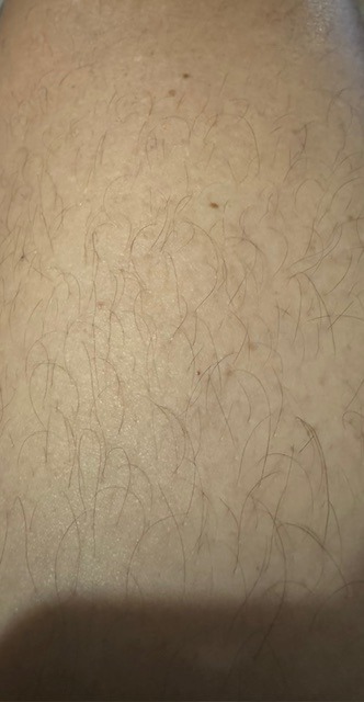 Gaspar - Assenede - Flandre orientale | Plan Q