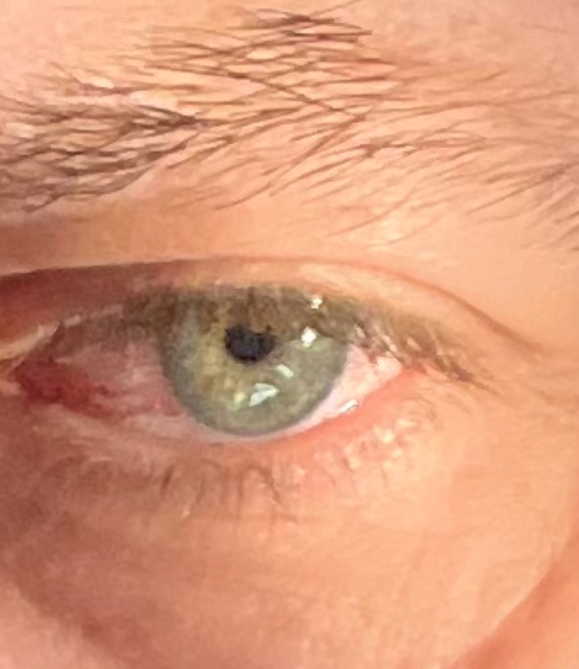 Djawed - Mol - Anvers | Plan Q