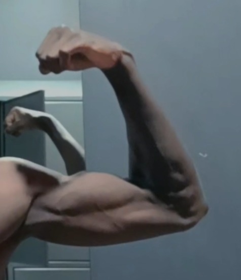 Ellis - Aiseau-Presles - Hainaut | Plan Q