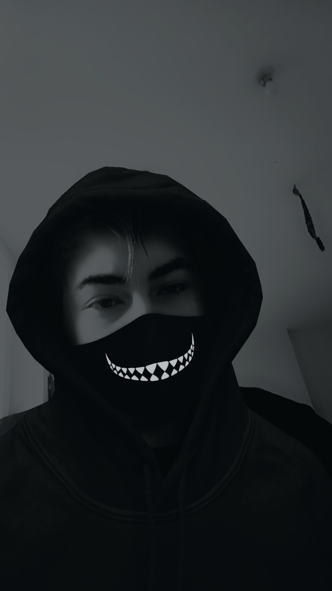 Roy - Zwalin - Flandre orientale | Plan Q