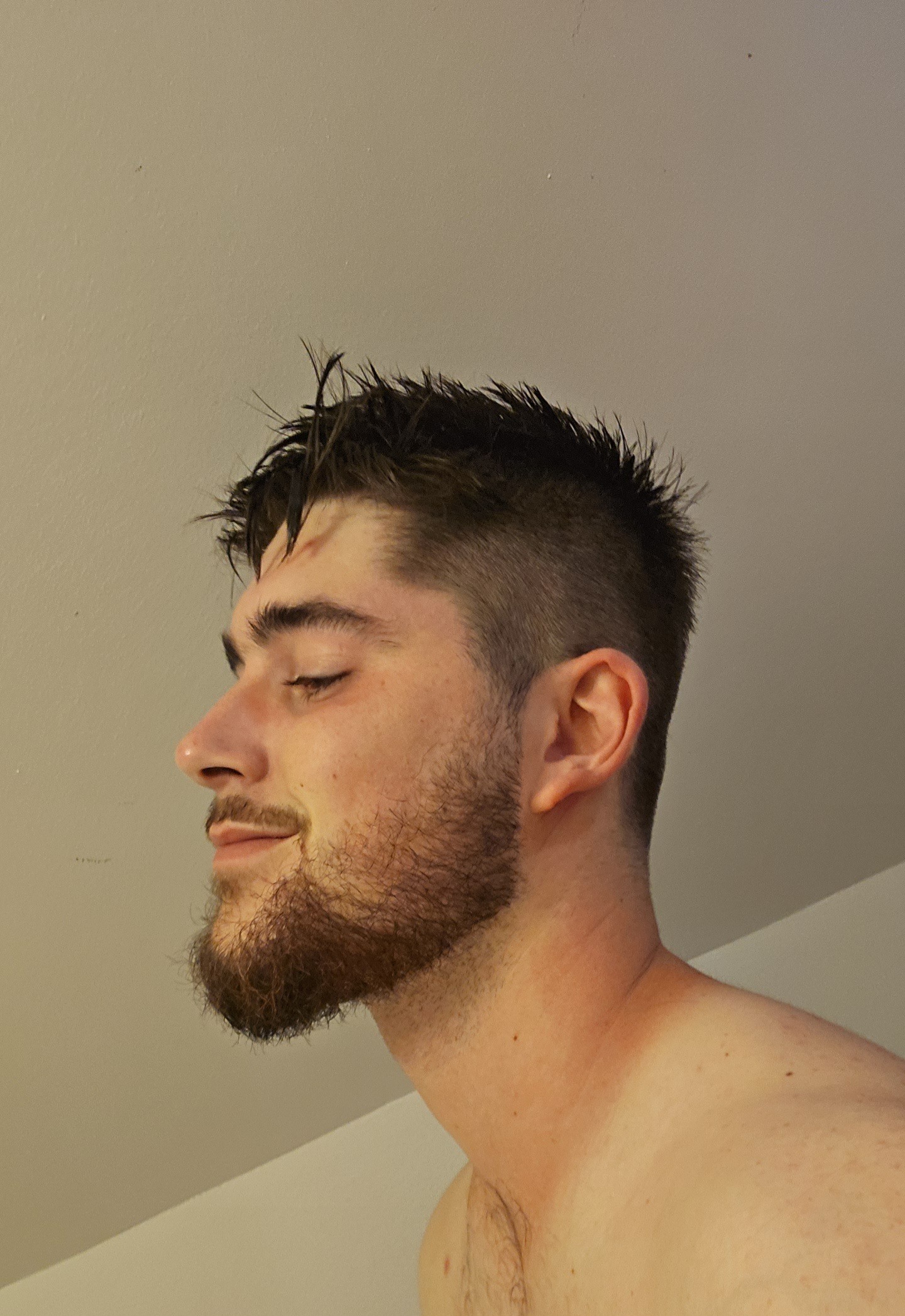 Shany - Leuze-en-Hainaut - Hainaut | Plan Q