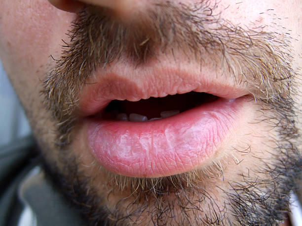 Dawud - Herselt - Anvers | Plan Q