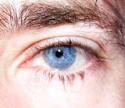 Dawson - Linkebeek - Brabant flamand | Plan Q