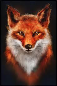 Hoani - Diest - Brabant flamand | Plan Q